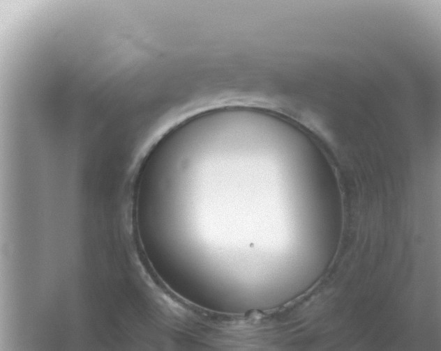 X0000067491504200604150028