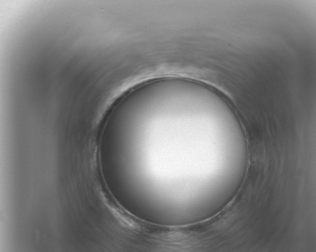 X0000067491507200604150028