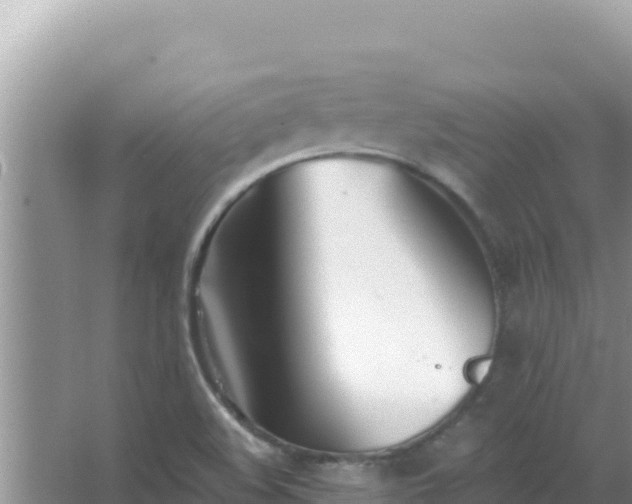 X0000067491508200604150028