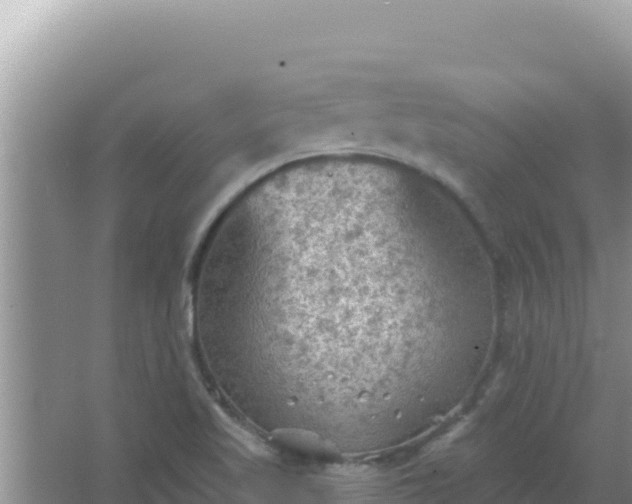 X0000067491509200604150028