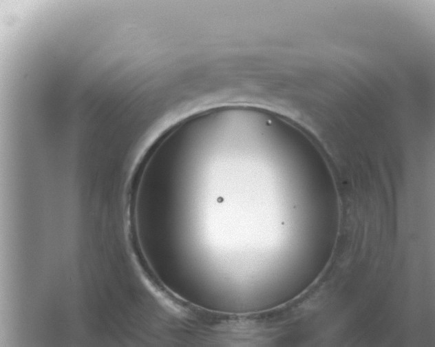 X0000067491511200604150028