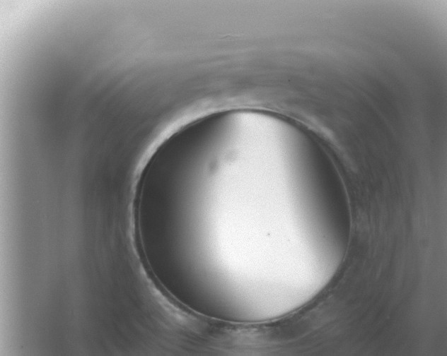 X0000067491512200604150028