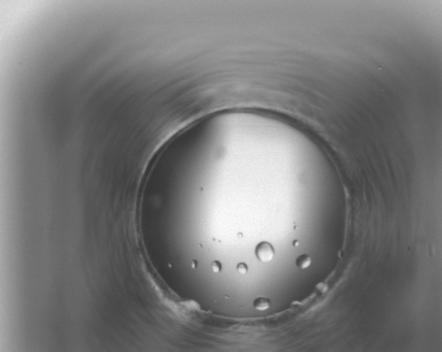 X0000067491513200604150028