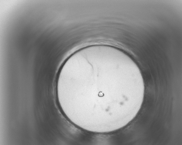 X0000067491514200604150028