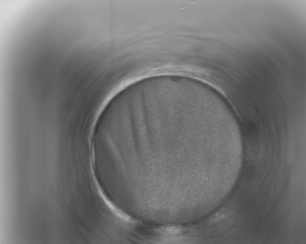 X0000067491515200604150028