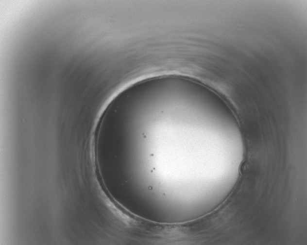 X0000067491516200604150028