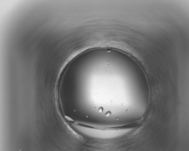 X0000067491517200604150028