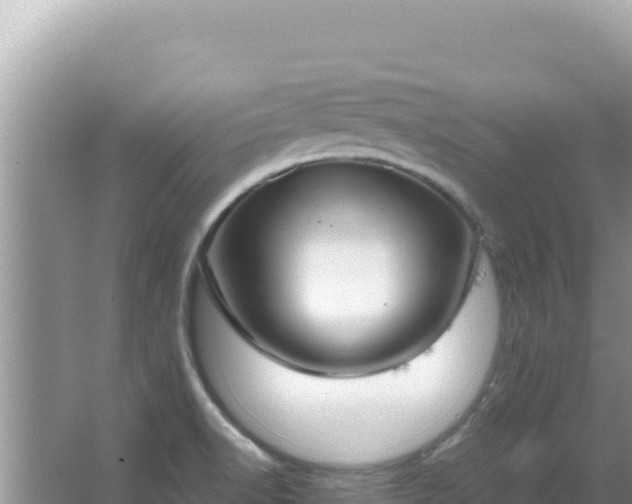 X0000067491518200604150028