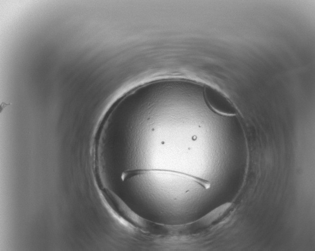 X0000067491519200604150028