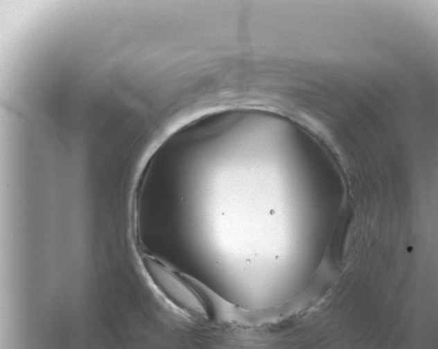 X0000067491520200604150028