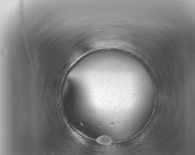 X0000067491521200604150029