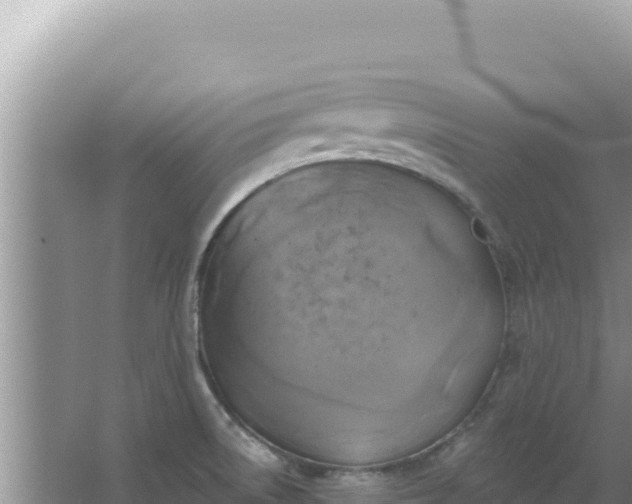 X0000067491522200604150029