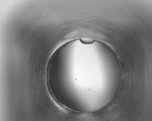 X0000067491523200604150029