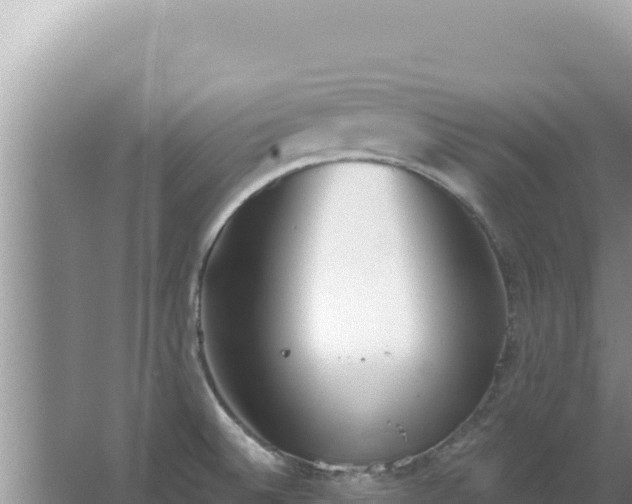 X0000067491524200604150029