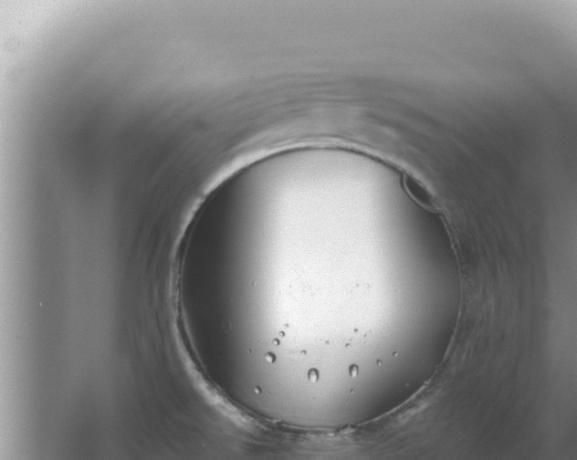 X0000067491526200604150029