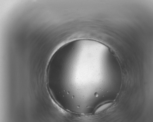 X0000067491527200604150029