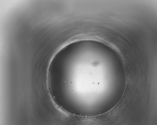 X0000067491528200604150029