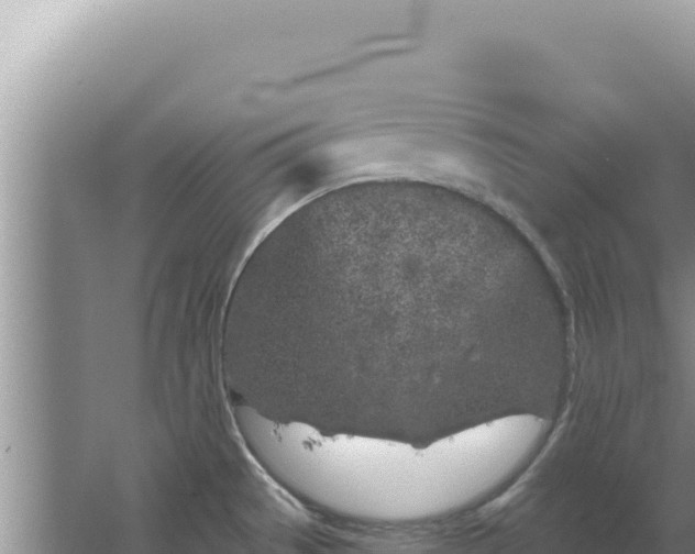 X0000067491529200604150029