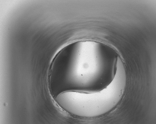 X0000067491530200604150029