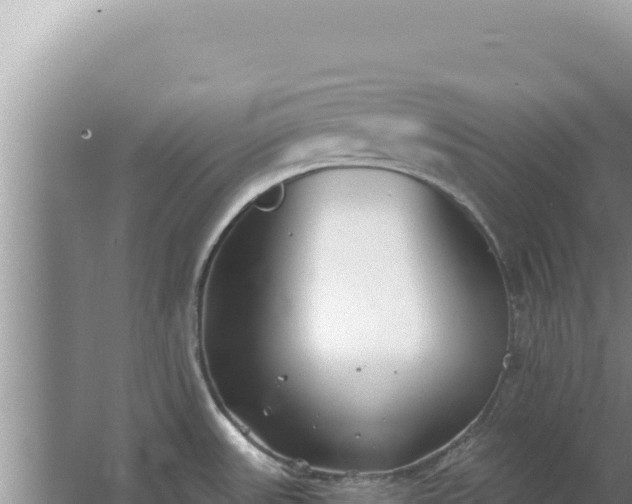 X0000067491531200604150029