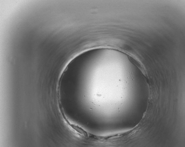 X0000067491532200604150029