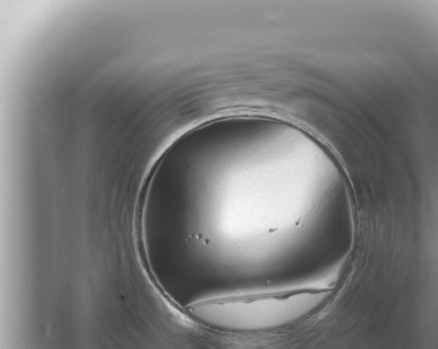 X0000067491533200604150029