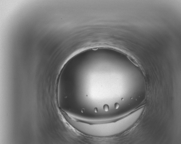 X0000067491534200604150029