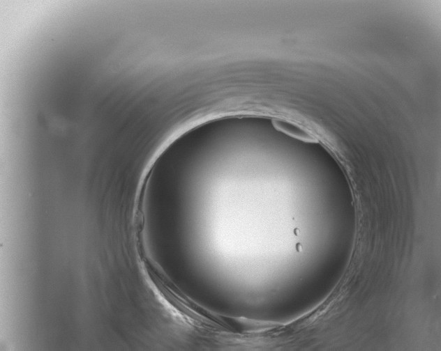 X0000067491536200604150029