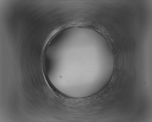 X0000067490003200604211711