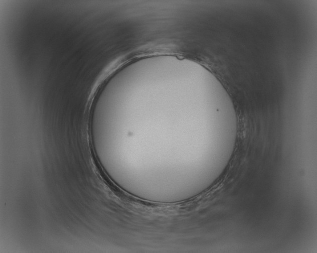 X0000067490004200604211711