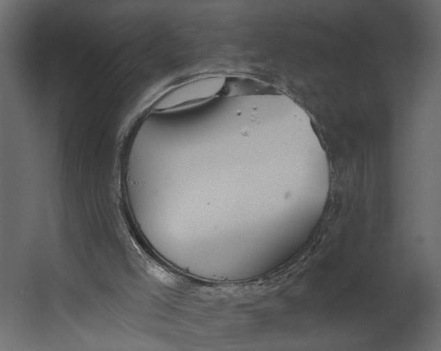 X0000067490005200604211711