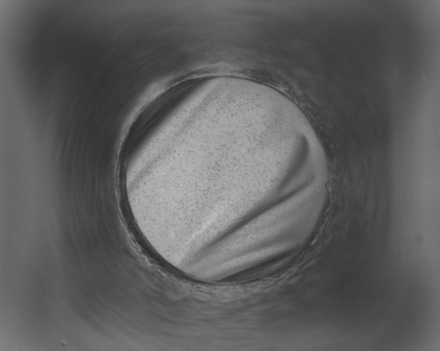 X0000067490006200604211711