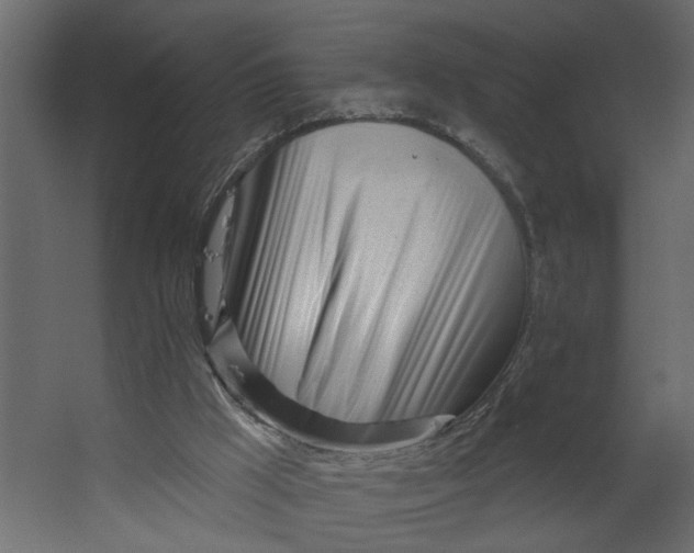 X0000067490009200604211711