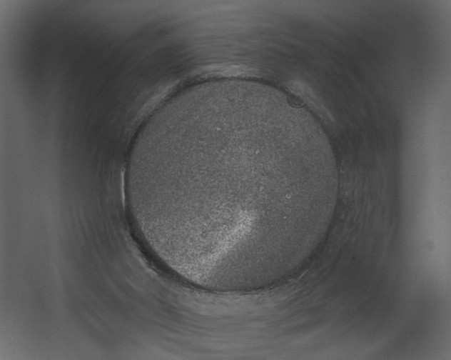 X0000067490014200604211711