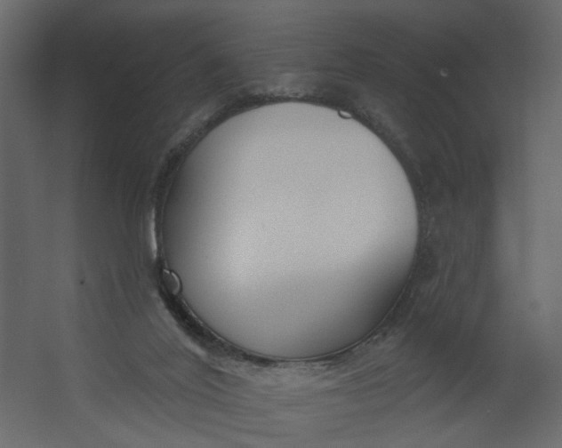 X0000067490020200604211711