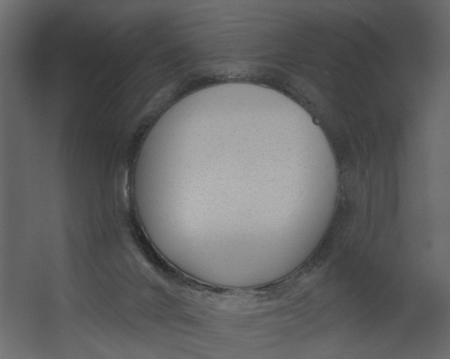 X0000067490024200604211711