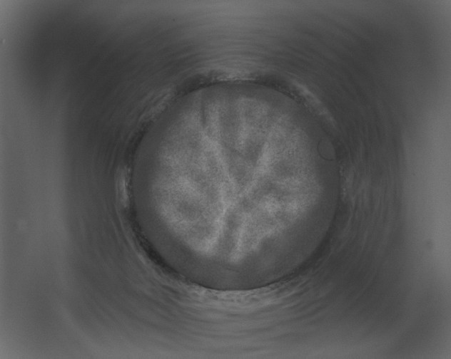 X0000067490026200604211710