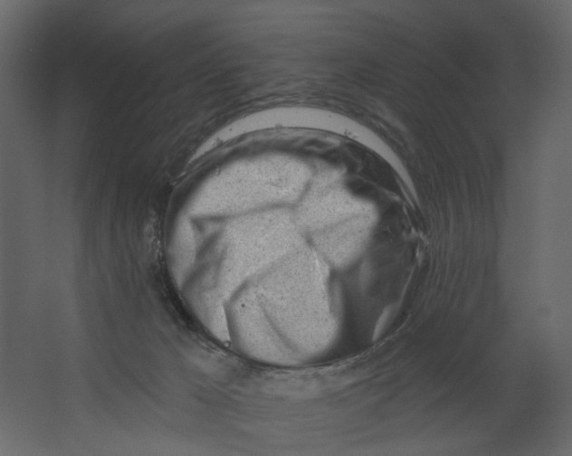 X0000067490029200604211710