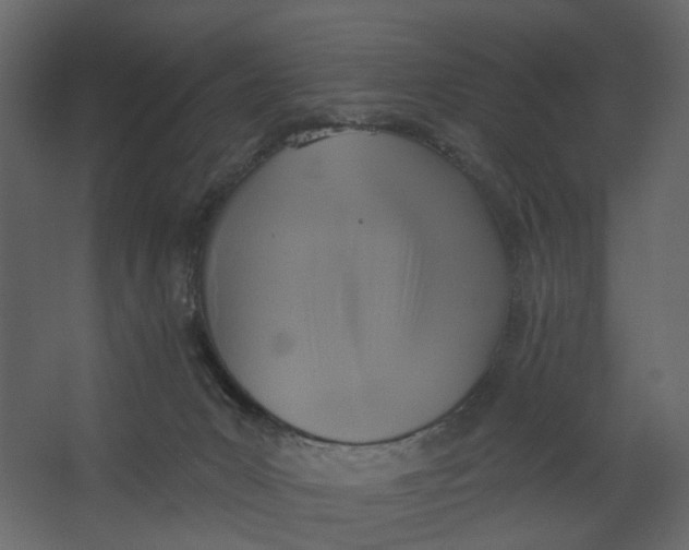 X0000067490031200604211710