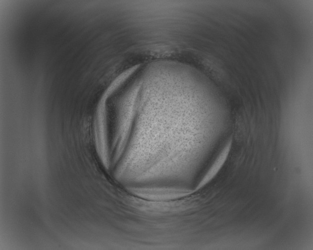 X0000067490034200604211710