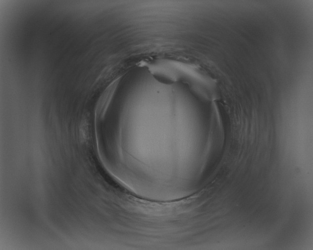 X0000067490035200604211710