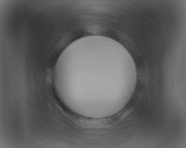 X0000067490036200604211710