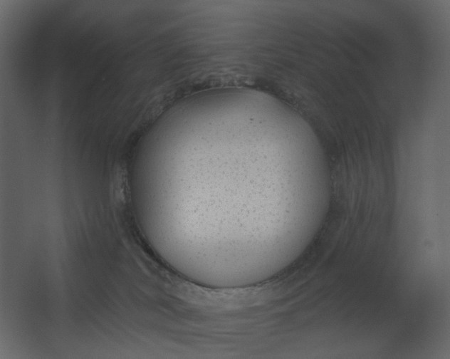 X0000067490038200604211710