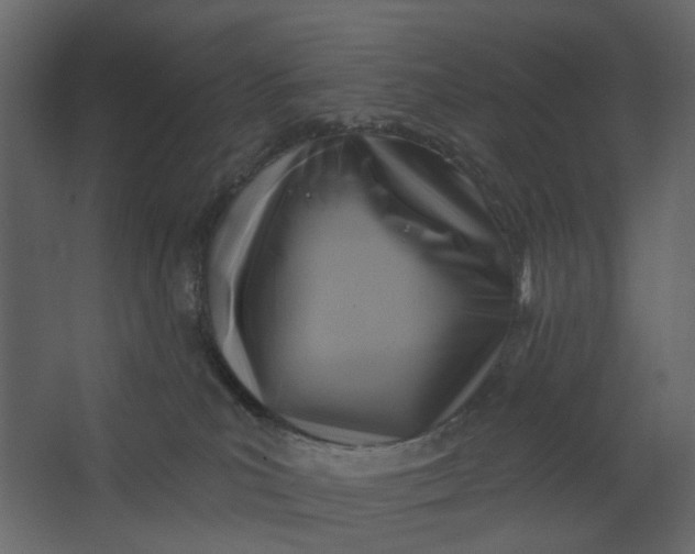 X0000067490039200604211710