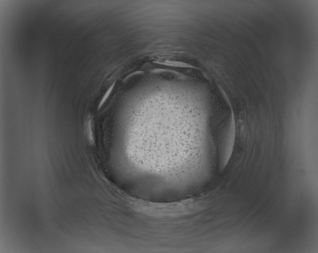 X0000067490042200604211710