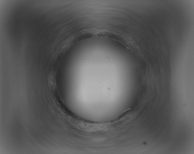 X0000067490044200604211710