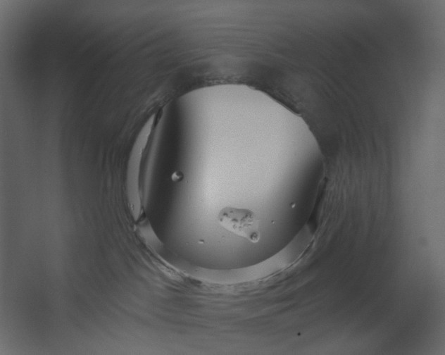 X0000067490045200604211710