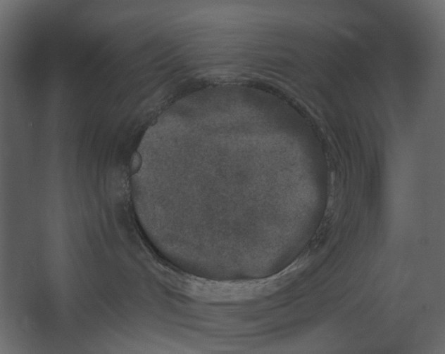 X0000067490048200604211710