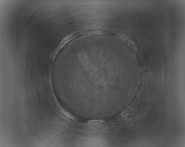 X0000067490051200604211709
