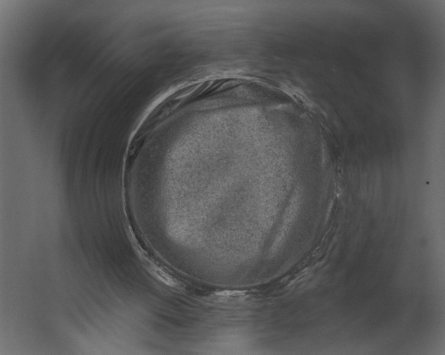 X0000067490052200604211709
